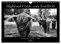 Highland Cattle vom Nordlicht - Faszination Hochland Rind (Wandkalender 2025 DIN A4 quer), CALVENDO Monatskalender - Katharina Knab