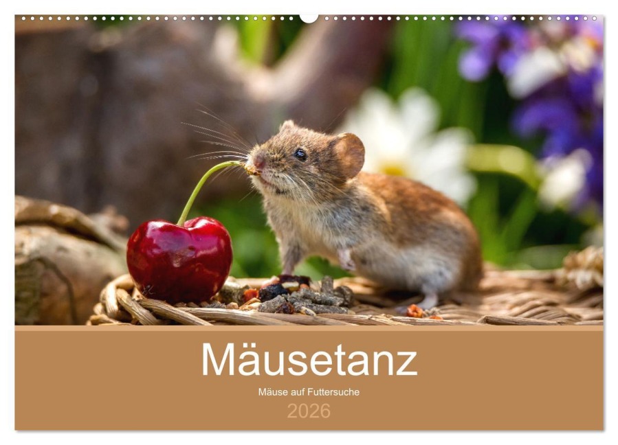 Mäusetanz (Wandkalender 2026 DIN A2 quer), CALVENDO Monatskalender - Linda Geisdorf Photography