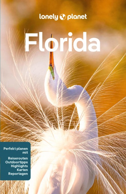 LONELY PLANET Reiseführer E-Book Florida - Adam Karlin, Terry Ward, Regis St. Louis, Amy Bizzarri, Jennifer M Edwards