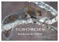 EICHHÖRNCHEN (Wandkalender 2024 DIN A2 quer), CALVENDO Monatskalender - Philippe Henry