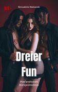 Cover-Bild zum Titel 'Dreier Fun' von 'Bernadette Binkowski'