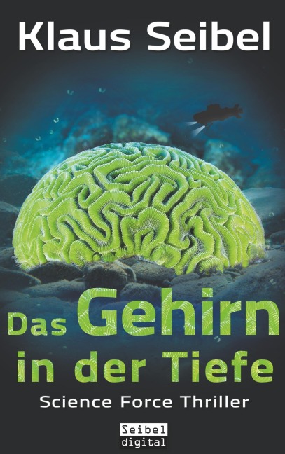 Das Gehirn in der Tiefe - Klaus Seibel
