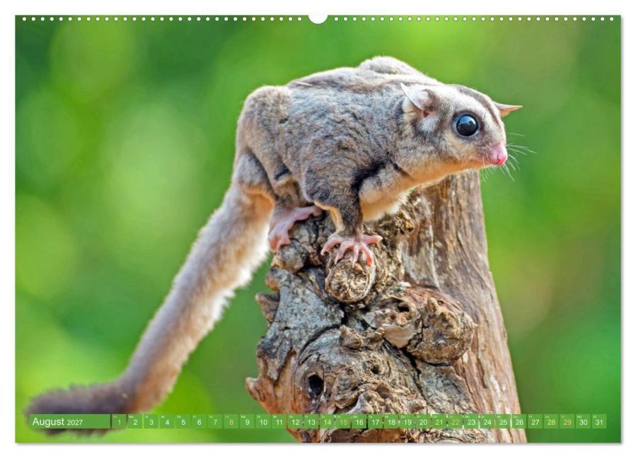 InsideView 13