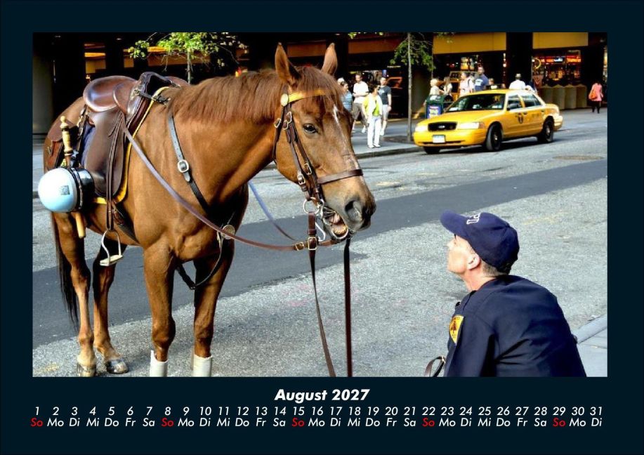 InsideView 12