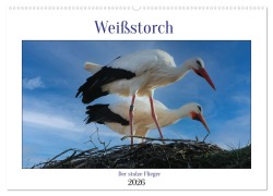 Weißstorch, der stolze Flieger (Wandkalender 2026 DIN A2 quer), CALVENDO Monatskalender - Mirjam Geggier