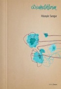 Cover-Bild zum Titel 'Divaneliklerim' von 'Hüseyin Sungur'