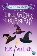 Lost Souls ParaAgency and the Three Witches of Burberry - K. M. Waller