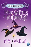 Cover-Bild zum Titel 'Lost Souls ParaAgency and the Three Witches of Burberry' von 'K. M. Waller'