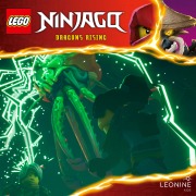 Cover-Bild zum Titel 'Folgen 233-234: Jenseits der Vision' von ''