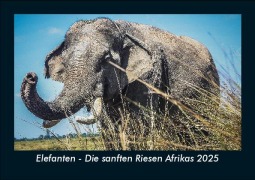 Cover-Bild zum Titel 'Elefanten - Die sanften Riesen Afrikas 2025 Fotokalender DIN A5' von 'Tobias Becker'