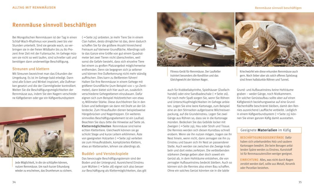 InsideView 5