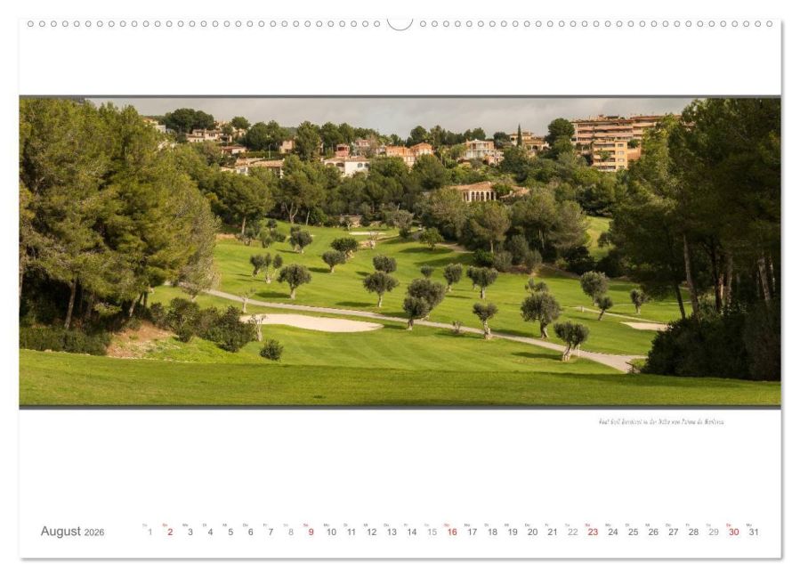 InsideView 12