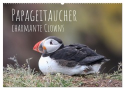 Cover-Bild zum Titel 'Papageitaucher - charmante Clowns (Wandkalender 2026 DIN A2 quer), CALVENDO Monatskalender' von 'Judith Kuhn'