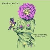 Once Upon A Time In The Desert - Brant Bjork Trio