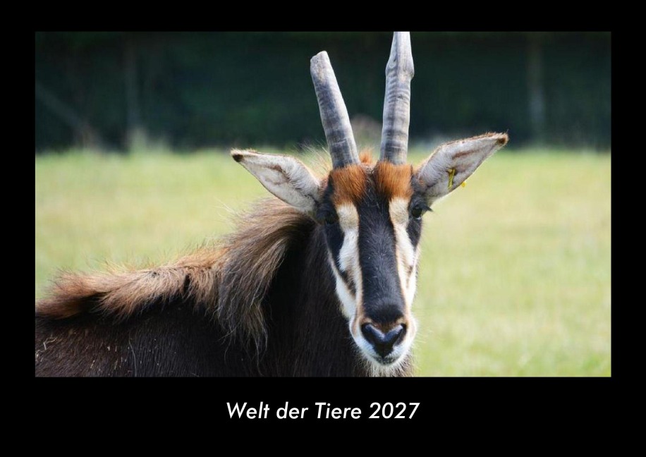 Welt der Tiere 2027 Fotokalender DIN A3 - Tobias Becker