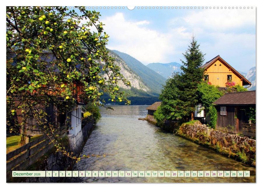 InsideView 4