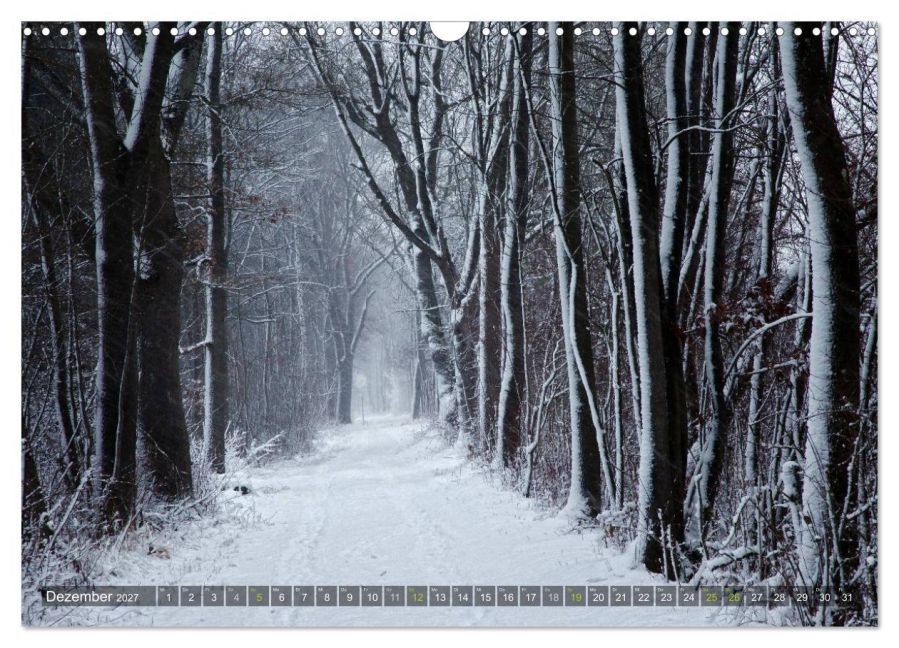 InsideView 4
