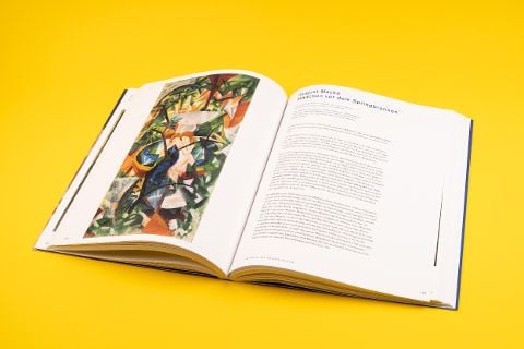 InsideView 5