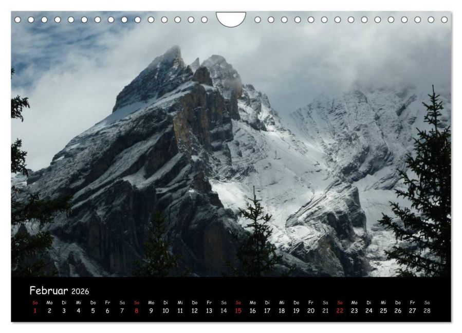 InsideView 7