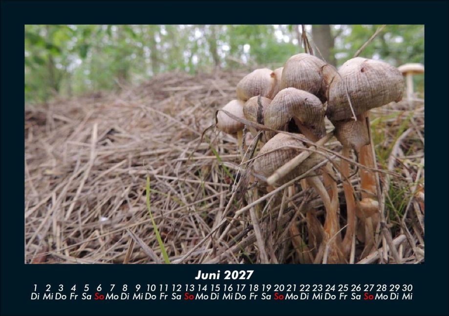 InsideView 10