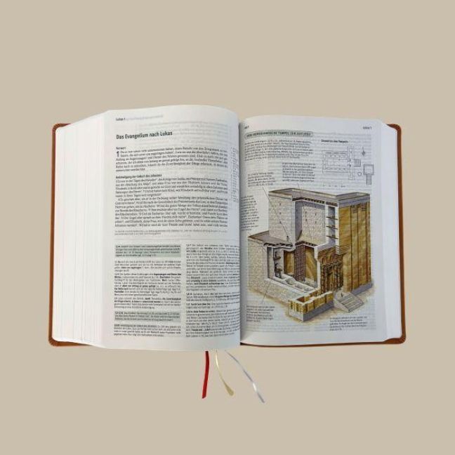 InsideView 7