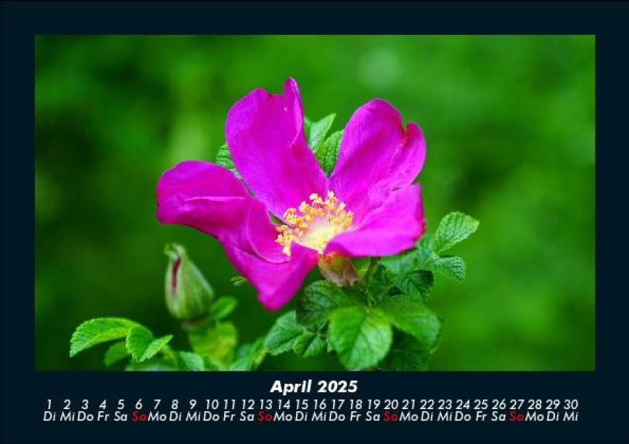 InsideView 8