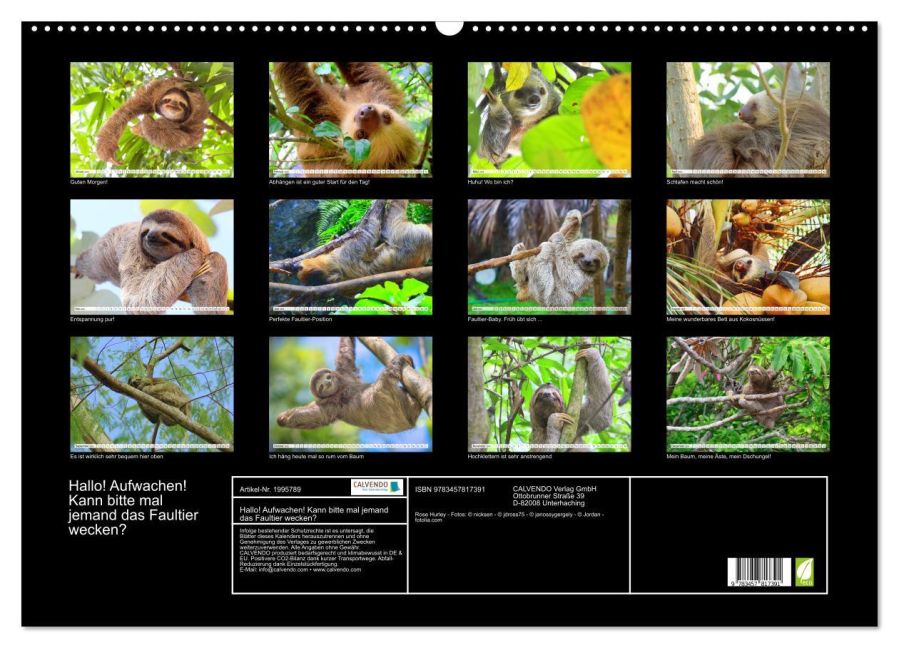 InsideView 5