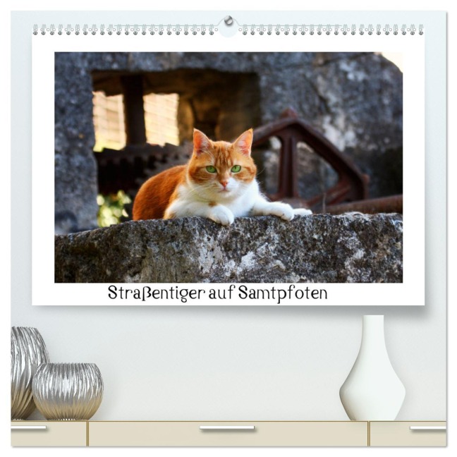 Straßentiger auf Samtpfoten (hochwertiger Premium Wandkalender 2025 DIN A2 quer), Kunstdruck in Hochglanz - Katrin Zeller & Christian Kiedy