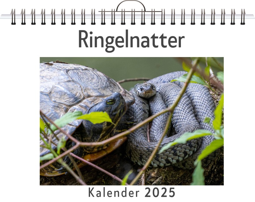 Ringelnatter - Oliver Münch