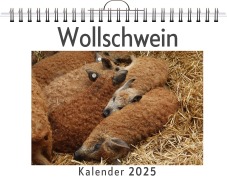 Cover-Bild zum Titel 'Wollschwein' von 'Lily Frank'