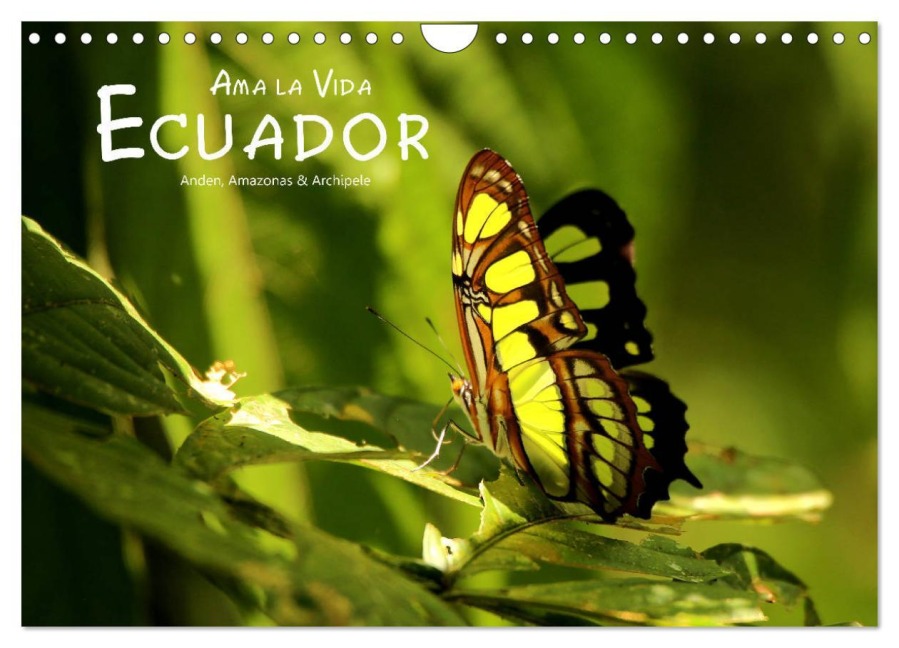 Ama la Vida Ecuador (Wandkalender 2026 DIN A4 quer), CALVENDO Monatskalender - Dirk Stamm