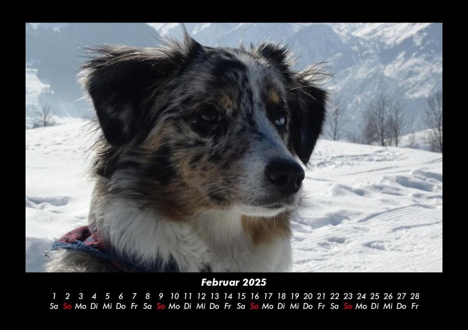 InsideView 6