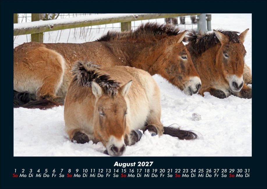 InsideView 12