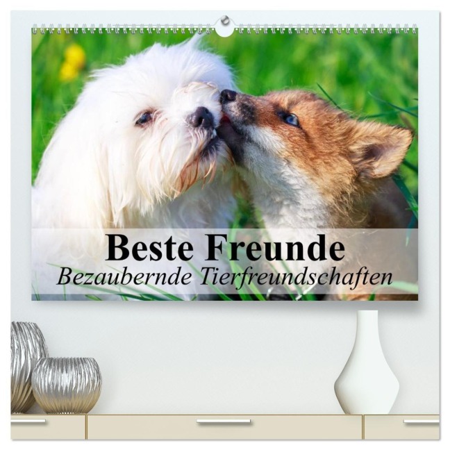 Beste Freunde - Bezaubernde Tierfreundschaften (hochwertiger Premium Wandkalender 2027 DIN A2 quer), Kunstdruck in Hochglanz - Elisabeth Stanzer