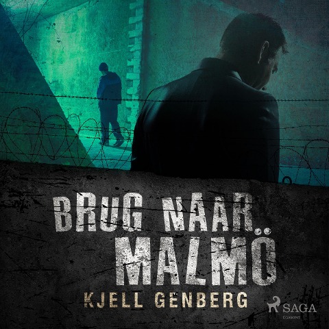 Brug naar Malmö - Kjell E. Genberg