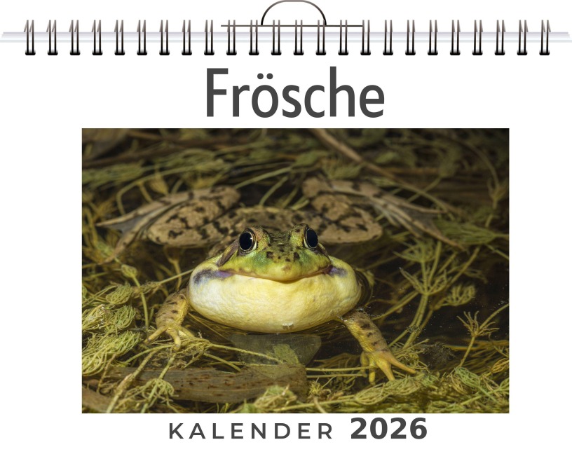 Frösche - Henry Koch