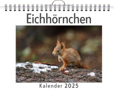 Cover-Bild zum Titel 'Eichhörnchen - (Wandkalender 2025, Kalender DIN A4 quer, Monatskalender im Querformat mit Kalendarium, das perfekte Geschenk)' von 'Ben Schmid'