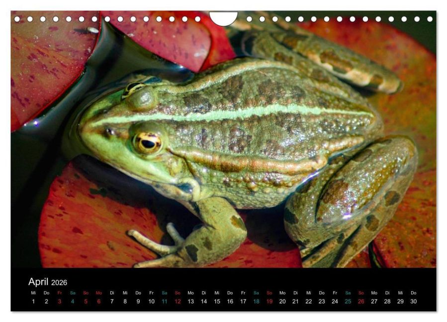 InsideView 9
