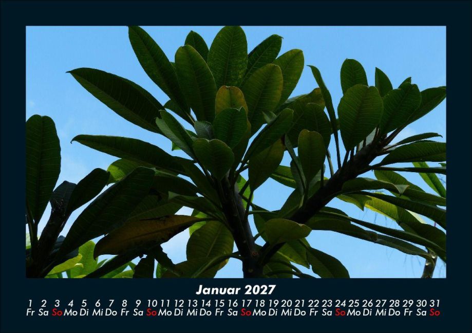 InsideView 5