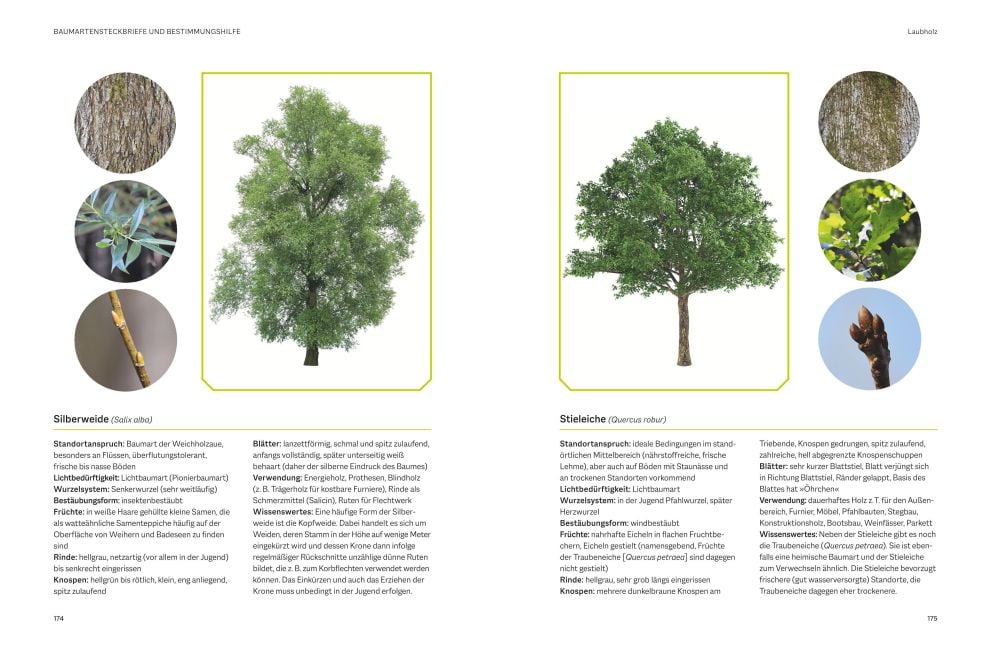 InsideView 5