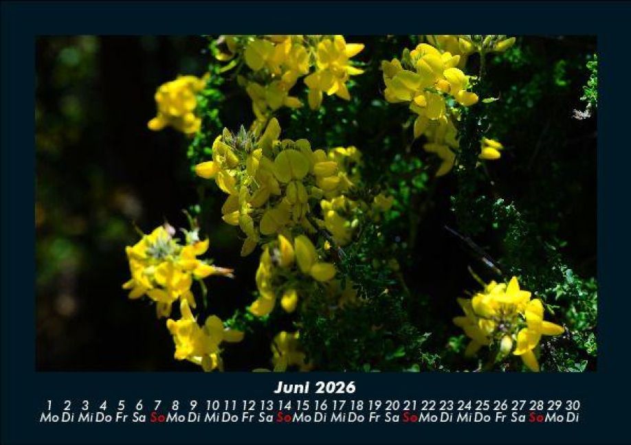 InsideView 10