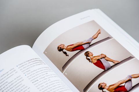 InsideView 8