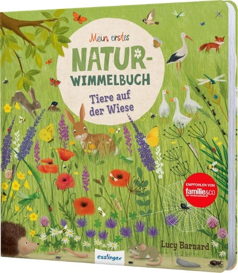 Mein erstes Natur-Wimmelbuch: Tiere auf der Wiese - Katharina Lotz