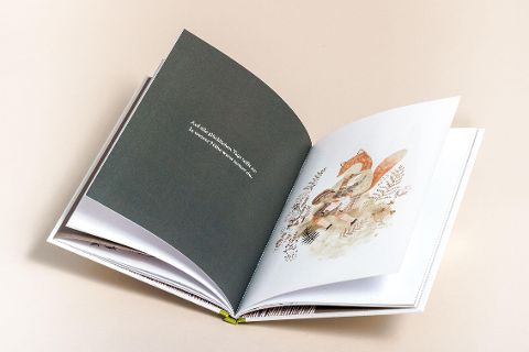 InsideView 10