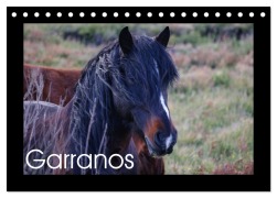 Garranos - Bedrohte Wildpferde Europas (Tischkalender 2026 DIN A5 quer), CALVENDO Monatskalender - Sabine Bengtsson/Www. Perlenfaenger. Com