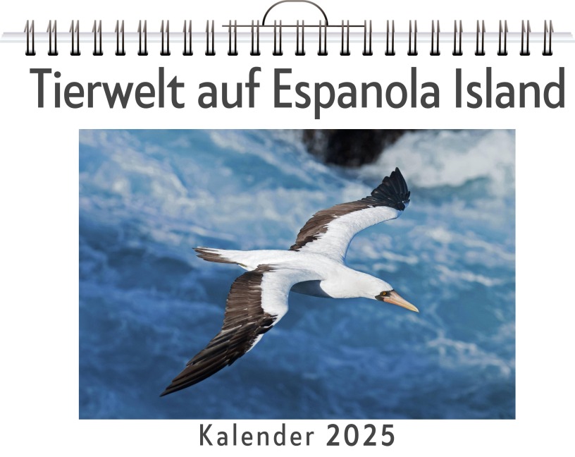 Tierwelt auf Espanola Island - Ava Vogel