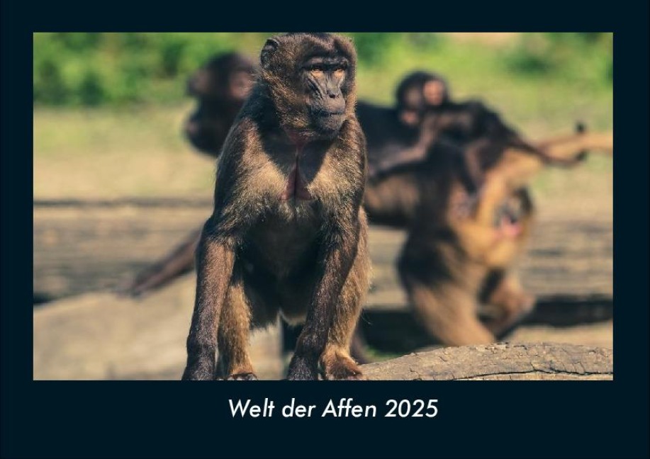 Welt der Affen 2025 Fotokalender DIN A4 - Tobias Becker