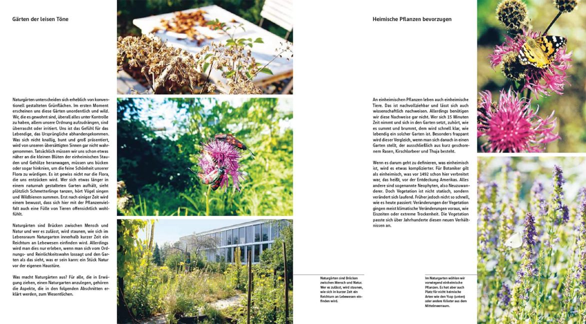 InsideView 1