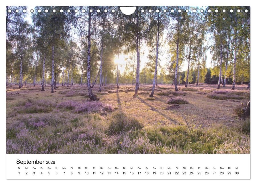 InsideView 14