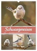 Cover-Bild zum Titel 'Schwanzmeisen, die niedlichen kleinen Pfannenstielchen (Wandkalender 2026 DIN A3 hoch), CALVENDO Monatskalender' von 'Sabine Löwer'